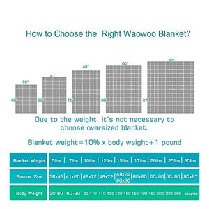 Waowoo Adult Weighted Blanket Queen Size（15lbs 60"x80"） Heavy Blanket with Premium Glass Beads, (Dark Grey)