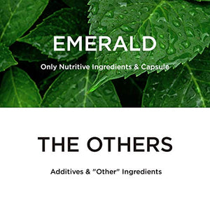 Allergy Health - with Quercetin, Bromelain & N-Acetyl Cysteine - Natural Antihistamine & Anti Inflammatory, Relief for Cough, Runny Nose, Itchy Eyes - Emerald Labs - 120 Vegetable Capsules