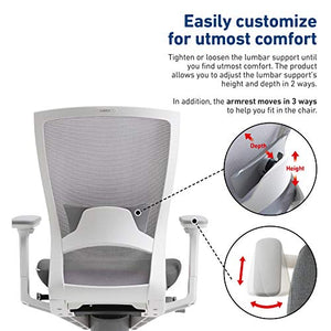 SIDIZ T50 Highly Adjustable Ergonomic Office Chair (TNB500LDA): Advanced Mechanism for Customization/Extreme Comfort, Ventilated Mesh Back, Lumbar Support, 3D Arms, Seat Slide/Slope (Gray)