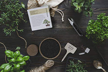 Load image into Gallery viewer, Bonsai Starter Kit - The Complete Growing Kit to Easily Grow 4 Bonsai Trees from Seed + Comprehensive Guide &amp; Bamboo Plant Markers - Unusual Gardening Gifts Ideas for Women - Indoor Bonzai Tree Seeds
