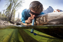 Load image into Gallery viewer, LifeStraw Personal Water Filter for Hiking, Camping, Travel, and Emergency Preparedness
