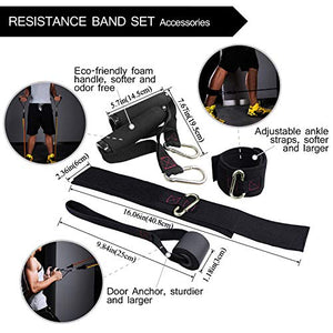 TheFitLife Exercise Resistance Bands with Handles - 5 Fitness Workout Bands Stackable up to 110 lbs, Training Tubes with Large Handles, Ankle Straps, Door Anchor Attachment, Carry Bag and Bonus eBook
