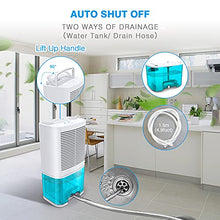 Load image into Gallery viewer, Levoair Dehumidifier 68oz(2000ml) Small Dehumidifier with Drain Hose for 3100 Cubic Feet 330 sq.ft Ultra Quiet Mini Portable Air Dehumidifier for Home Basements Bathroom Bedroom Closet Kitchen RV
