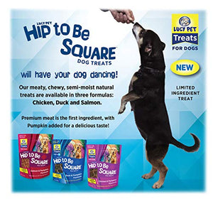 Lucy Pet Hip To Be Square Salmon And Pumpkin Dog Treats 6Oz