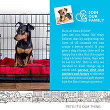 Load image into Gallery viewer, Dog Crates for Small Dogs - Dog Crate 24" Pet Cage Double-Door Best for Puppy &amp; Kitten Pets - Wire Metal Kennel Cages with Divider Panel &amp; Tray - In-door Foldable &amp; Portable for Animal Out-Door Travel

