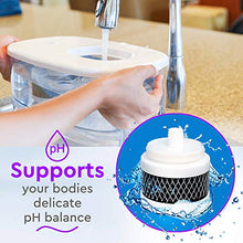 Load image into Gallery viewer, Opti CHILL - Alkaline Replacement Filter - 120 Gallons

