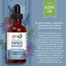 Load image into Gallery viewer, Lymphatic Drainage Drops | Lymphatic Drainage | USDA Organic Lymphatic Drainage for Immune Support | Lymphatic Support Supplement | Vegan | Non-GMO | Gluten Free | 1 Fl Oz
