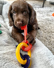 Load image into Gallery viewer, Nylabone Just for Puppies Teething Chew Toy Bacon Small/Regular (1 Count)
