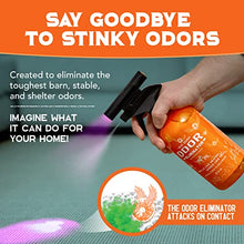 Load image into Gallery viewer, ANGRY ORANGE Pet Odor Eliminator for Strong Odor - Citrus Deodorizer for Dog Urine Smells on Carpet, Furniture &amp; Floors - Puppy Supplies﻿ (24 Fl Oz + UV Flashlight)
