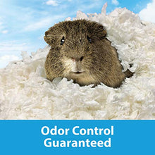 Load image into Gallery viewer, Kaytee Clean &amp; Cozy White Bedding For Pet Guinea Pigs, Rabbits, Hamsters, Gerbils, and Chinchillas SIOC, 2/50 Liters
