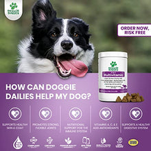 Load image into Gallery viewer, Doggie Dailies 5 in 1 Multivitamin for Dogs, 225 Soft Chews, Dog Multivitamin for Skin and Coat Health, Joint Health, Improved Digestion, Antioxidants, Support a Healthy Immune System
