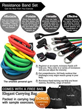 Load image into Gallery viewer, TheFitLife Exercise Resistance Bands with Handles - 5 Fitness Workout Bands Stackable up to 110 lbs, Training Tubes with Large Handles, Ankle Straps, Door Anchor Attachment, Carry Bag and Bonus eBook
