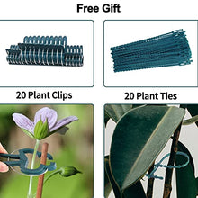 Load image into Gallery viewer, 10pack Garden Plant Support Stake 10&quot; Wide x 16&quot; High Half Round Metal Garden Plant Support Ring Border Support, Plant Support Ring Cage for RoseFlowers Vine Tomato with 20pack Plant Clips &amp;Plant Ties
