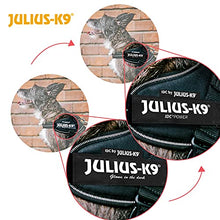 Load image into Gallery viewer, Julius-K9 16IDC-FARNE-B1 IDC Powerharness, Dog Harness, Size Baby 1, Jeans with Neon Edge

