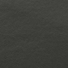 Load image into Gallery viewer, Lexicon Maysville Leather Gel Match Track Arm Sofa, 79.5" W, Gray
