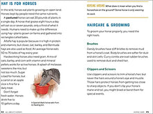 Load image into Gallery viewer, All About Horses: A Kid's Guide to Breeds, Care, Riding, and More!
