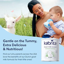 Load image into Gallery viewer, Kabrita Goat Milk Toddler Formula, 14 Ounce (Pack of 12)
