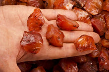 Load image into Gallery viewer, Fantasia Materials: 1 lb Red Carnelian Rough Stones from India
