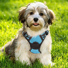 Load image into Gallery viewer, rabbitgoo Dog Harness, No-Pull Pet Harness with 2 Leash Clips, Adjustable Soft Padded Dog Vest, Reflective No-Choke Pet Oxford Vest with Easy Control Handle for Medium Dogs, Green, M
