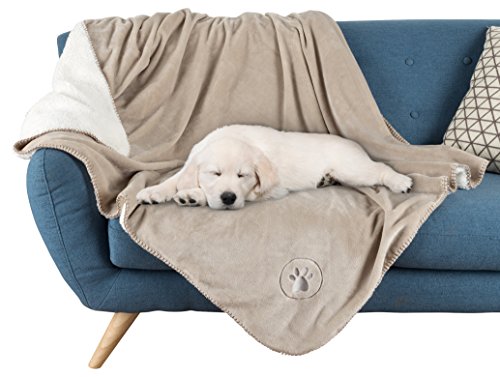 Waterproof Pet Blanket-50”x60” Soft Plush Throw Protects Couch, Chairs, Car, or Bed from Spills, Stains, or Pet Fur-Machine Washable by Petmaker (Tan)