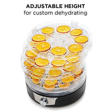 Load image into Gallery viewer, Chefman 5-Tray Food Dehydrator, 11.4-Inch Transparent Trays, Adjustable Temperature Control, Easily Create Dried Snacks For The Family, Prepare Fruits, Jerky, Vegetables, Meats, &amp; Herbs
