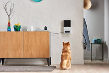 Load image into Gallery viewer, [2017 Item ] Petcube Bites Pet Camera with Treat Dispenser: HD 1080p Video Monitor, 2-Way Audio, Night Vision, Sound and Motion Alerts. For Dogs and Cats
