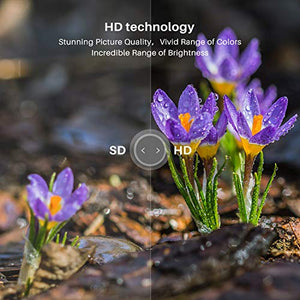 SANSUI 24 Inch TV 720P Basic S24 LED HD TV High Resolution Flat Screen Television Built-in HDMI,USB,VGA Ports - Refresh Rate 60Hz (2020 Model)