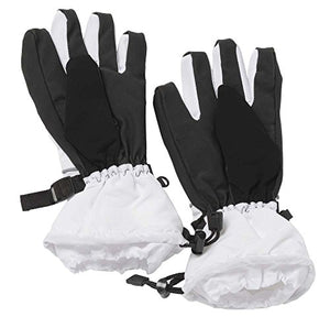 Aeromax Astronaut Gloves, size Large, White, with NASA patches, (ASG-Lrg)