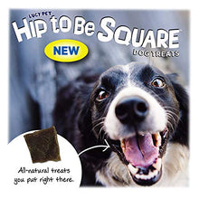 Load image into Gallery viewer, Lucy Pet Hip To Be Square Salmon And Pumpkin Dog Treats 6Oz
