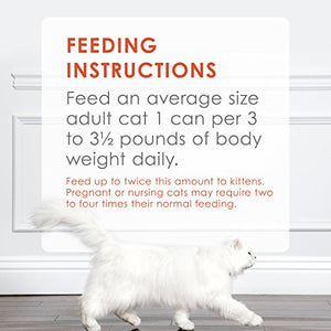 Purina Fancy Feast Grain Free Pate Wet Cat Food, Classic Pate Savory Salmon Feast - (Pack of 24) 3 oz. Cans