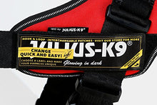 Load image into Gallery viewer, Julius-K9 16IDC-FARNE-B1 IDC Powerharness, Dog Harness, Size Baby 1, Jeans with Neon Edge
