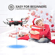 Load image into Gallery viewer, Holy Stone HS190 Foldable Mini Nano RC Drone for Kids Gift Portable Pocket Quadcopter with Altitude Hold 3D Flips and Headless Mode Easy to Fly for Beginners
