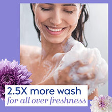 Load image into Gallery viewer, Vagisil Healthy pH Care Daily Intimate Feminine Wash for Women, Gynecologist Tested &amp; Hypoallergenic, 34 Fl Oz (1L)
