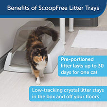 Load image into Gallery viewer, PetSafe ScoopFree Ultra Self-Cleaning Cat Litter Box – Automatic with Disposable Tray – Taupe Covered
