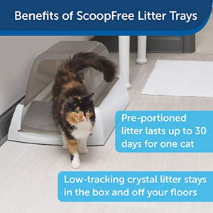 PetSafe ScoopFree Ultra Self-Cleaning Cat Litter Box – Automatic with Disposable Tray – Taupe Covered