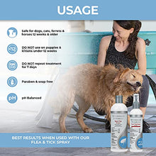 Load image into Gallery viewer, Veterinary Formula Flea and Tick Shampoo for Dogs and Cats, 16 oz – Dog and Cat Flea Shampoo with Pyrethrum to Kill Fleas, Ticks On Contact – Cleanses and Exfoliates
