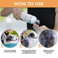 Load image into Gallery viewer, Veterinary Formula Clinical Care Antiseptic and Antifungal Shampoo for Dogs and Cats, 16 oz – Medicated Shampoo to Relieve, Heal and Soothe Fungal and Bacterial Skin Infections, White (FG01320)
