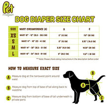 Load image into Gallery viewer, Pet Magasin Reusable Dog Diapers Sanitary Wraps, 3-Pack, Trending, Medium
