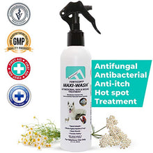 Load image into Gallery viewer, Forticept Maxi-Wash Antiseptic Antifungal Antibacterial Medicated Itch Relief Hot Spot Spray for Dogs &amp; Cats|First Aid Skin and Paw Cleanser | Wounds Treatment 8 oz
