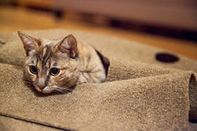 Load image into Gallery viewer, SnugglyCat The Ripple Rug - Made in USA - Cat Activity Play Mat - Insulated Base Keeps Kitty Warm - Fun Interactive Play - Training - Scratching - Bed Mat
