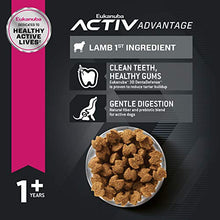 Load image into Gallery viewer, Eukanuba Adult Large Breed Lamb 1st Ingredient Dry Dog Food, 30 lb
