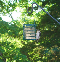 Load image into Gallery viewer, Wildlife Sciences High Energy Suet Cake 10 Pack
