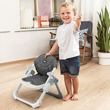 Load image into Gallery viewer, Chicco Take-A-Seat Booster Seat - Grey Star
