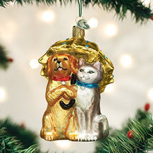 Load image into Gallery viewer, Old World Christmas Pet Lovers Glass Blown Ornaments for Christmas Tree Cats and Dogs
