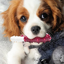 Load image into Gallery viewer, Strong Rubber Dental Toy for Your Dog Chewing, Nylon and Rubber Dog Bone Toy Reduces Boredom, Dog Teething Trainning Toys ,Chew Toys for LargeMediumSmall Puppies (Steak), 2.88inch-4.88inch
