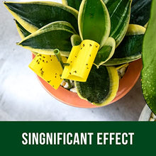 Load image into Gallery viewer, Garsum 21 Traps Sticky Houseplant Traps Gnat Yellow Insect Trap Indoor Fruit Fly Stakes Trap
