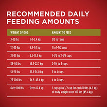 Load image into Gallery viewer, Purina ONE Natural Dry Dog Food, SmartBlend Lamb &amp; Rice Formula - 31.1 lb. Bag
