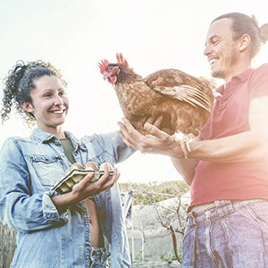BestPet Chicken Coop Chicken Cage Pens Crate Rabbit Cage Enclosure Pet Playpen Exercise Pen