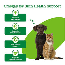 Load image into Gallery viewer, Zesty Paws Salmon Omega Oil Hemp for Dogs and Cats with Wild Alaskan Salmon Oil Omega 3 and 6 Fatty Acids with EPA DHA for Pets Supports Normal Skin Moisture and Immune System Function 16oz
