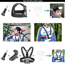 Load image into Gallery viewer, Neewer 50 in 1 Action Camera Accessory Kit Compatible with GoPro Hero10/9/8/7/6/5/4, GoPro Max, GoPro Fusion, Insta360, DJI Osmo Action/Action 2, AKASO, and more
